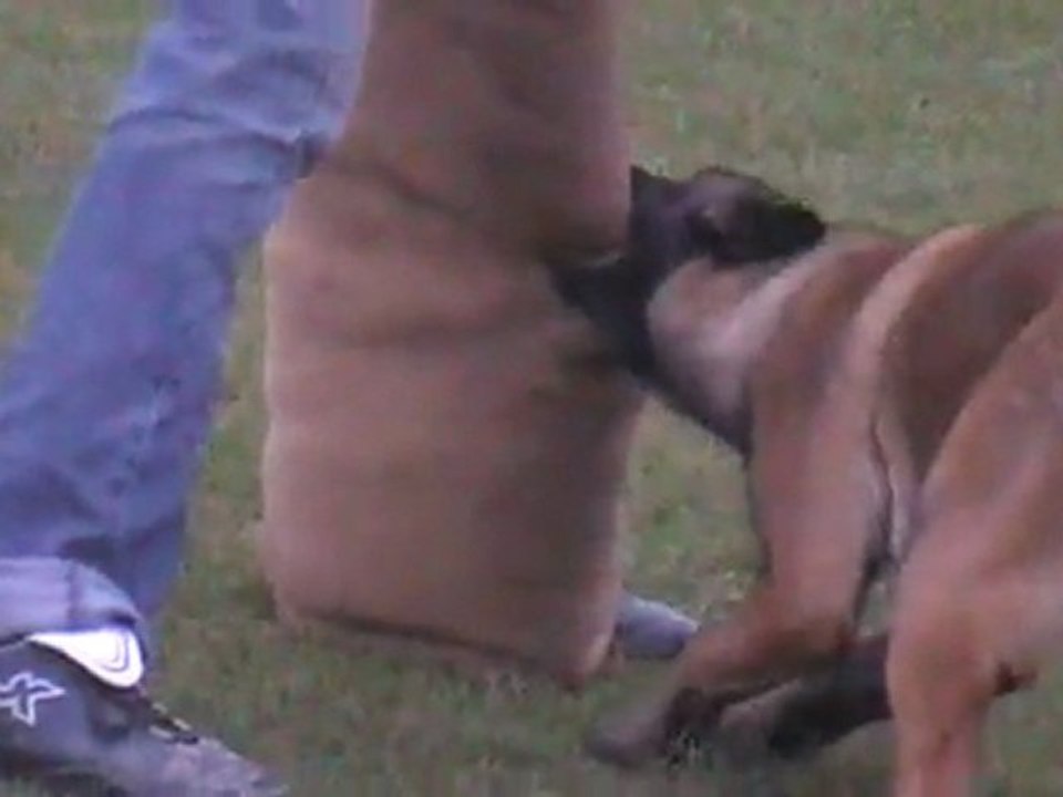 aby