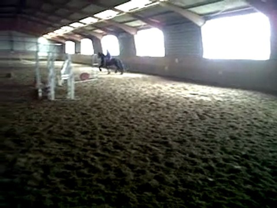 Beau frison YSBRAND le 28 DECEMBRE 2011 AVEC ERIC notre professeur