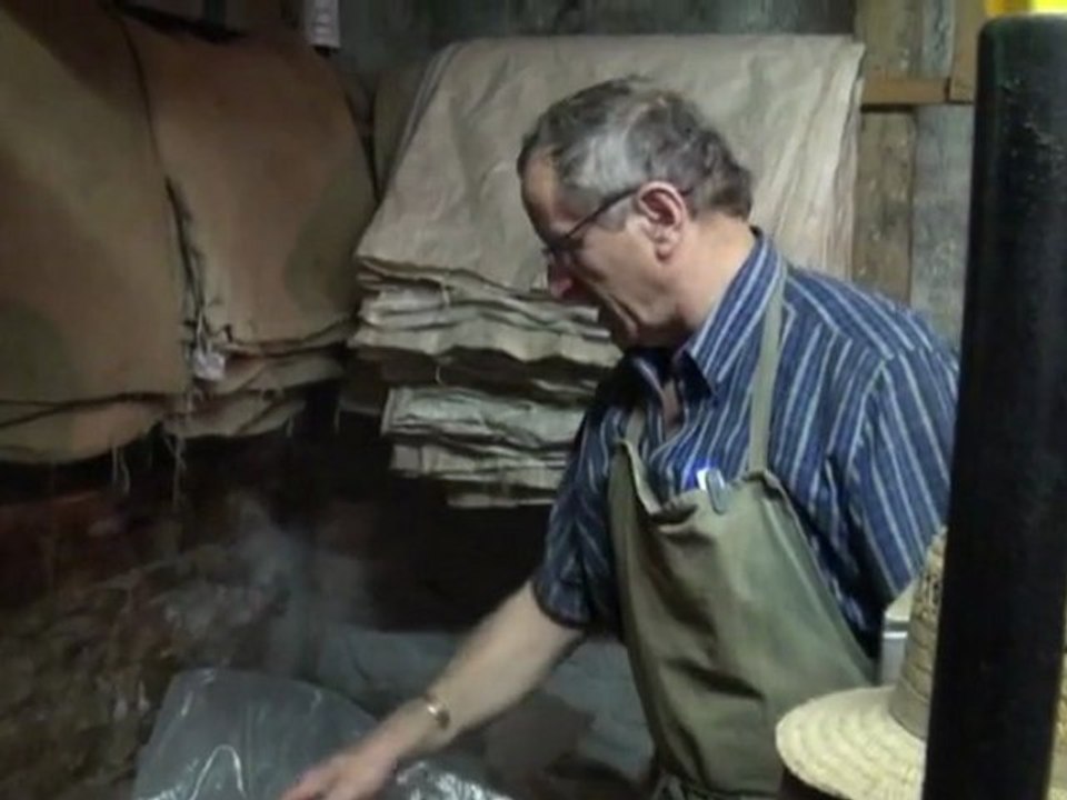 La Maison  Brand  MP4