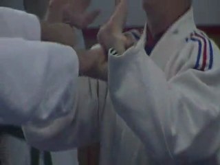 Jujitsu Rollin Philippe