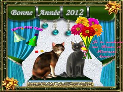 Meilleurs voeux et Bonne année 2012-12-31-14-31_wmv