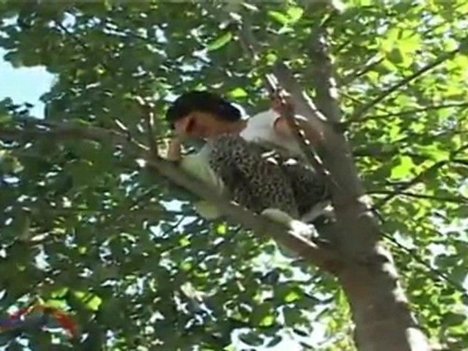 Gëzuar me Lecin - 2012 (pjesa e 10)