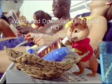 Watch Alvin and the Chipmunks Chipwrecked Episode 1 Full