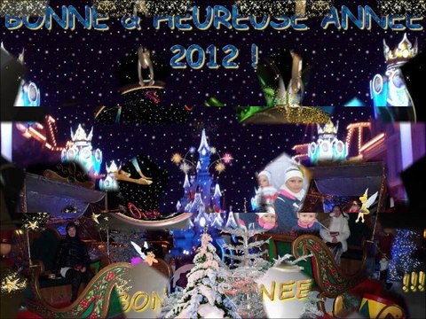 BONNE ANNEE 2012 !