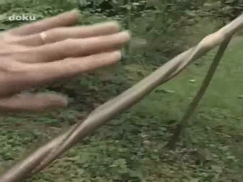 Les Maîtres de l'eau - Viktor Schauberger (2-3)