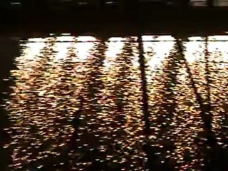 Fireworks Sydney 2011 012