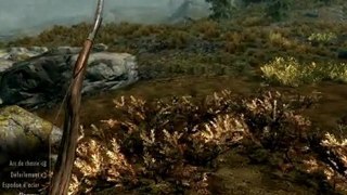 Vidéo délire fin d'année  The Elder Scrolls Skyrim (PC)