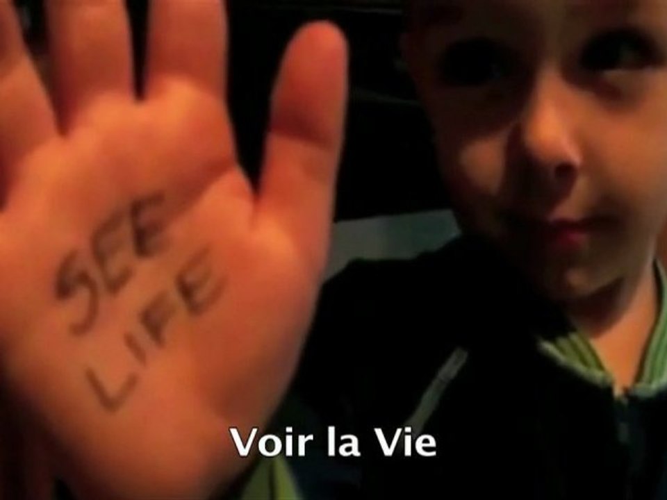 Bonne Année 2012