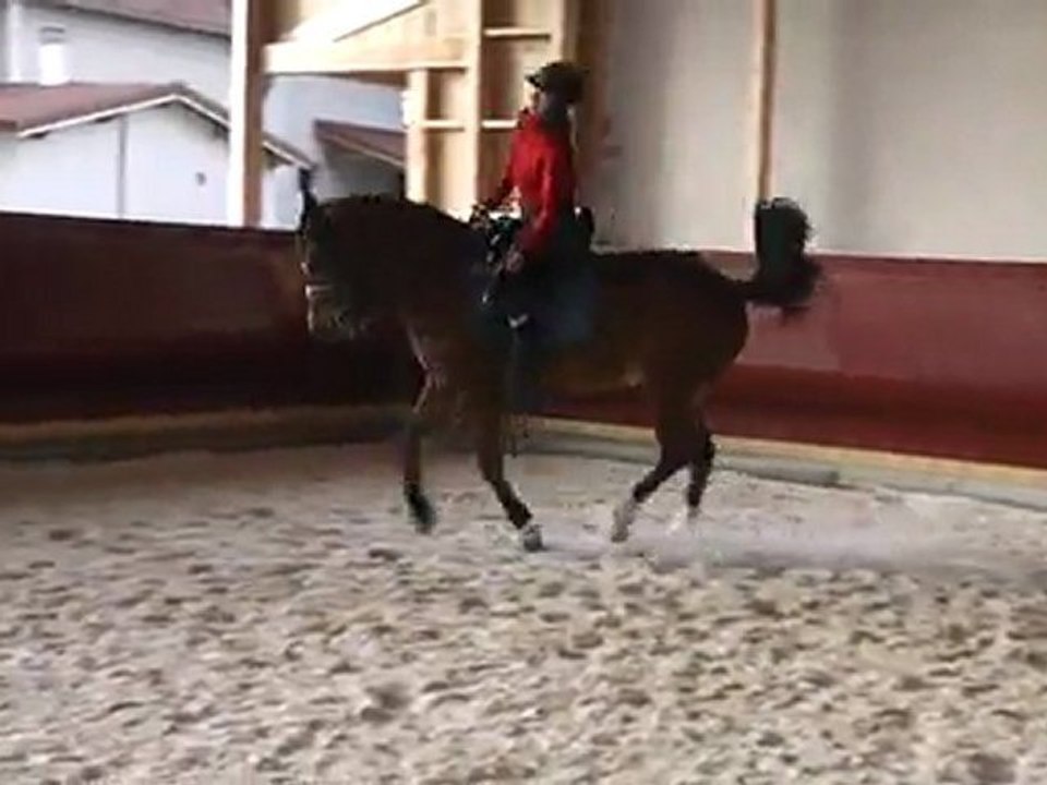 Anne et Lucky