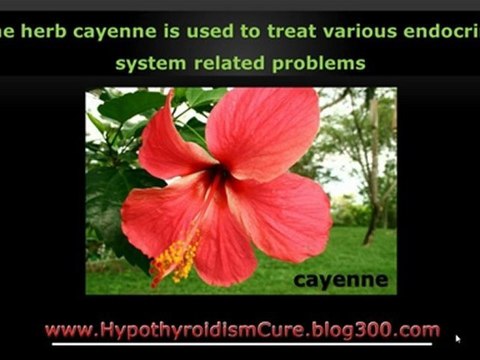 How To Cure Hypothyroidism - Hypothyroidism Natural Treatment