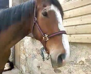 Juste pour vous faire voir son ancien état ! =S