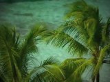 Wonderful Chill Out Music - Paradisiac Island