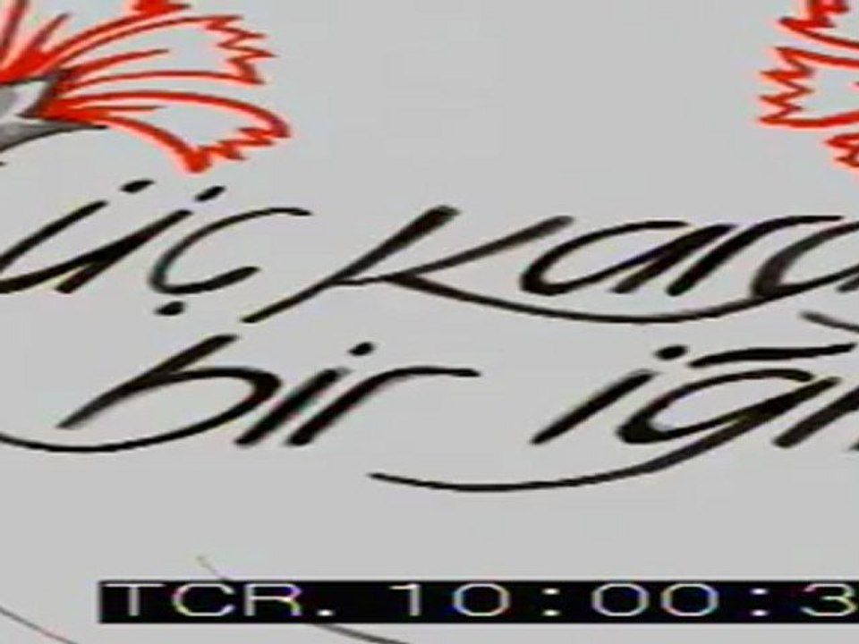 üç karanfil bir iğne (1. bölüm) - çamlıyayla