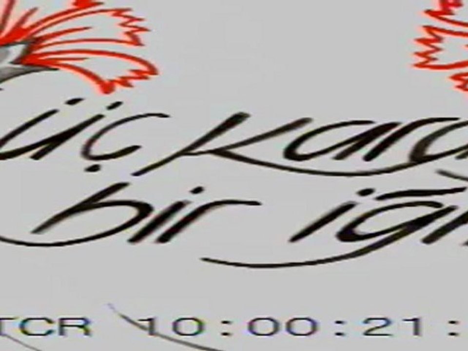 üç karanfil bir iğne (3. bölüm) nalıhan