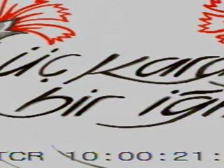 üç karanfil bir iğne (3. bölüm) nalıhan