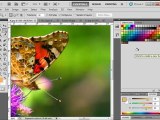 تعليم فوتوشوب Photoshop CS5 - واجهة البرنامج