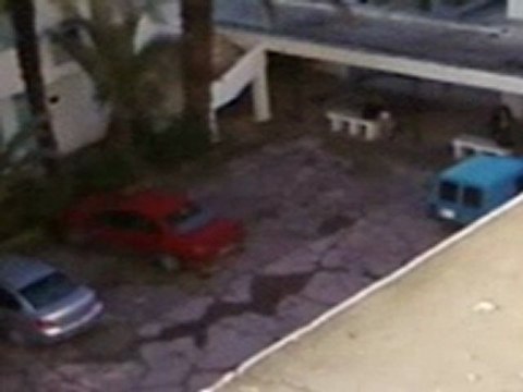 ISEFC المعهد العالي للتربية و التكوين المستمر rue de la liberté bardo tunis tunisie (2)