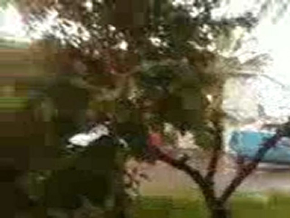 ISEFC    المعهد العالي للتربية و التكوين المستمر     rue de la liberté bardo tunis tunisie (4)