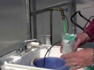 Kestane fidanı üretimi.