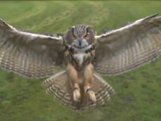 Wonderful Chillout Music - Traveling the World [Hd]