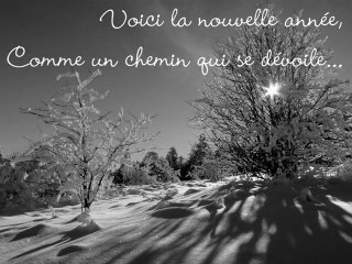 Imbault Pilat - Photographe en herbe - Voeux 2012