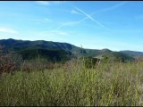 Balade zen en Forêt Domaniale de St Genix (Diois)  26 Drôme sud