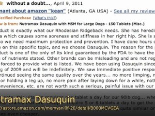 Nutramax Dasuquin with MSM for Large Dogs - 150 Tablets