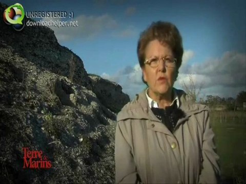 Butte d'huitres du moyen-age à st Michel en l'herm