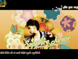 [Vietsub Kara]Super Junior 5th Album 11. Y [s-u-j-u.net]