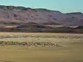 Playa Time Dust to Dust - Burning Man 2011 Time Lapse