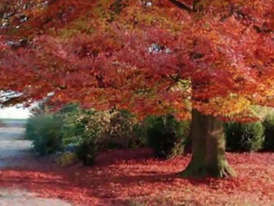 HÜSEYİN TURAN-SUS BE AĞLAMA GÖZÜM