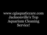 Jacksonville FL. Aquatic Care Clean Fish Tanks 904.588.2700 Aquarium  cleaning Jacksonville, Florida.