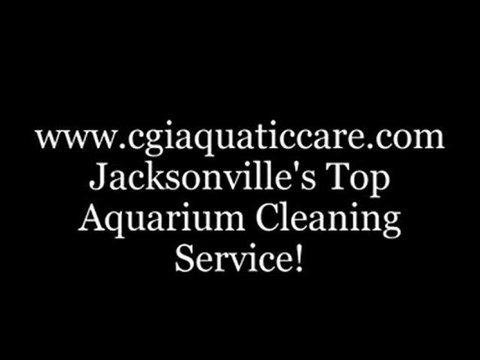 Jacksonville FL. Aquatic Care Clean Fish Tanks 904.588.2700 Aquarium cleaning Jacksonville, Florida.