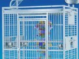 Pet Cages