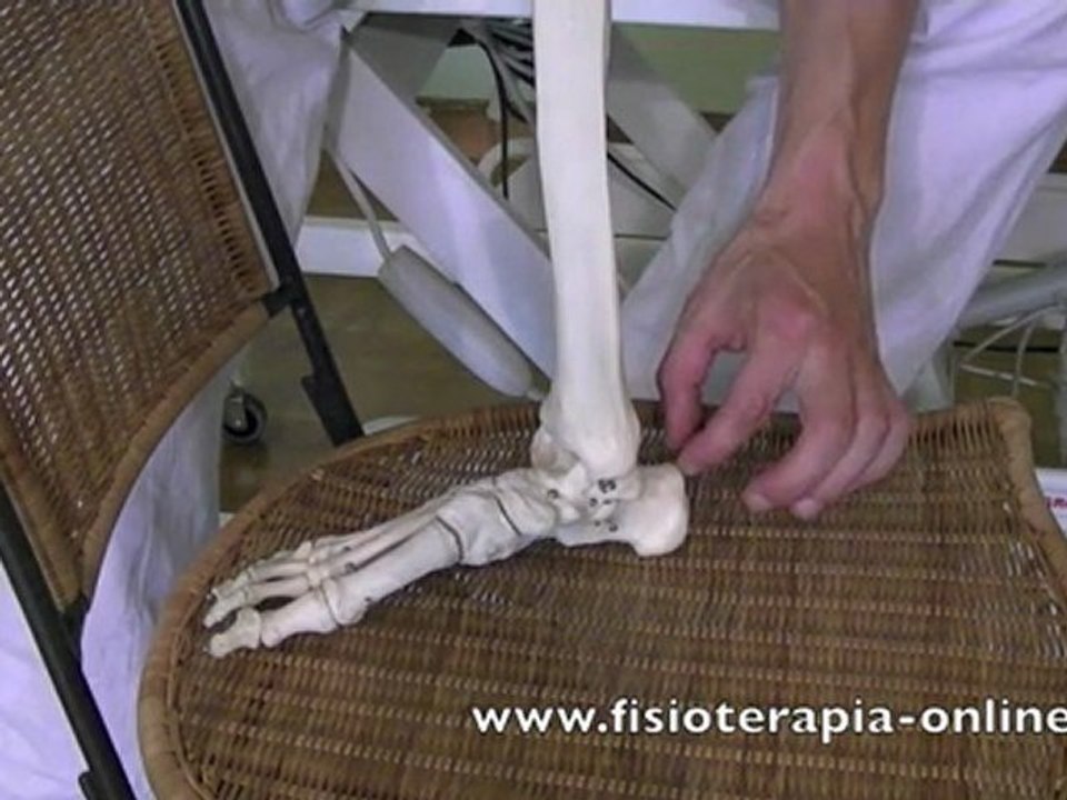Auto-masaje para la tendinitis aquílea o del tendón de ...
