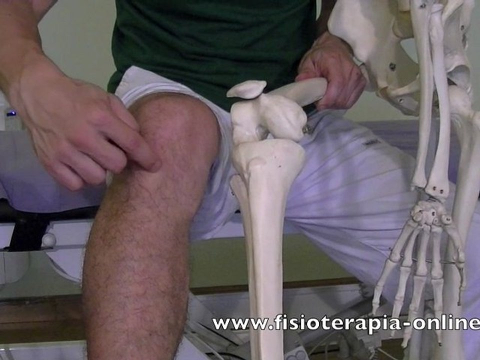 Auto-masaje para la tendinitis rotuliana o del tendón ...