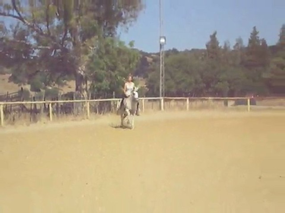 Galop