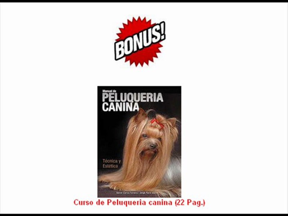 Manual de peluquería canina técnica y estética perros