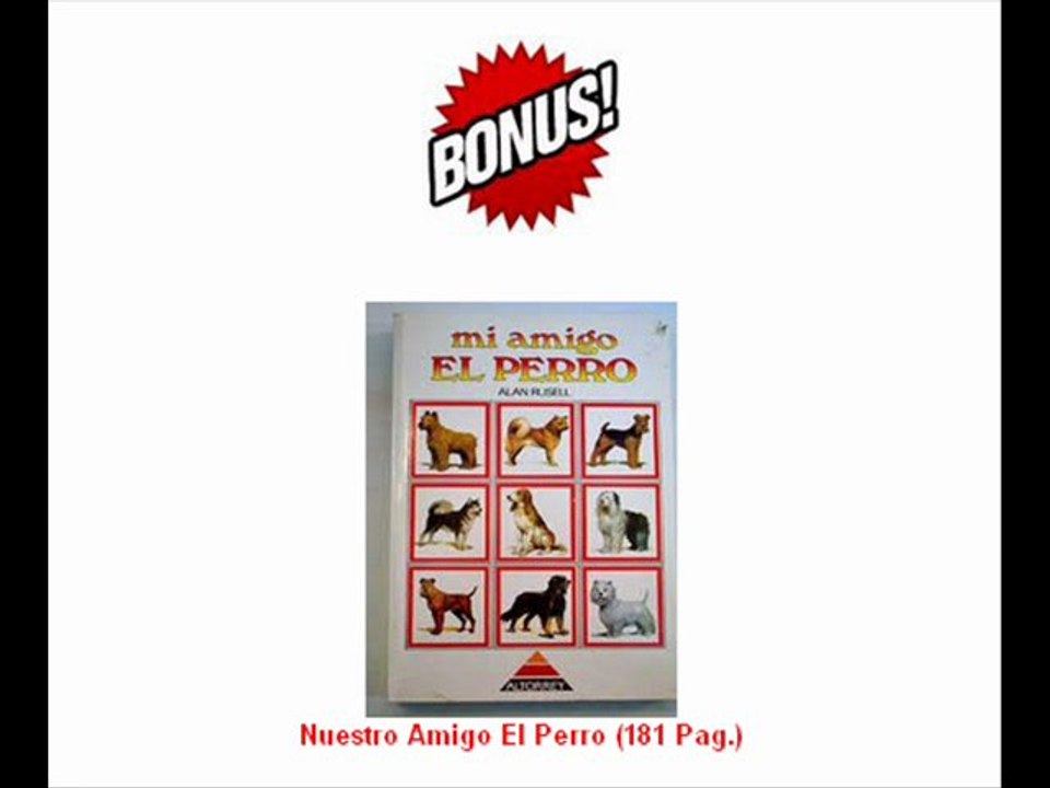 Mi amigo el perro libro junto a muchos bonos sobre adiestramiento