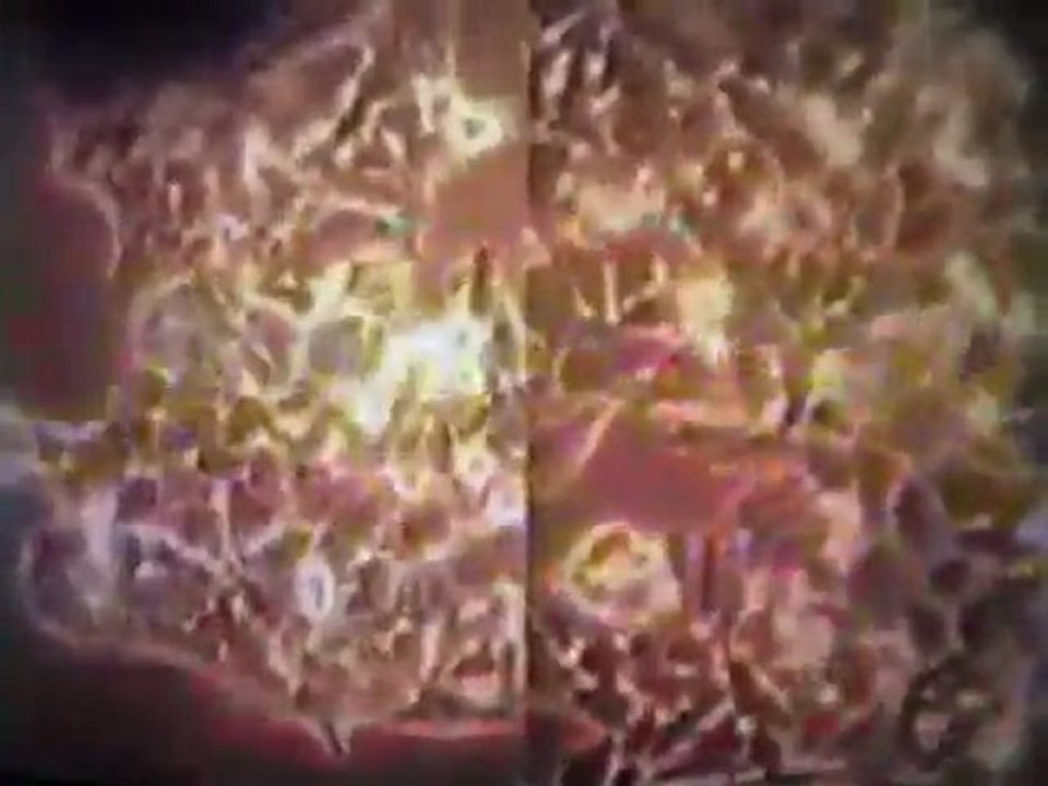 Unknown Nutrition Film