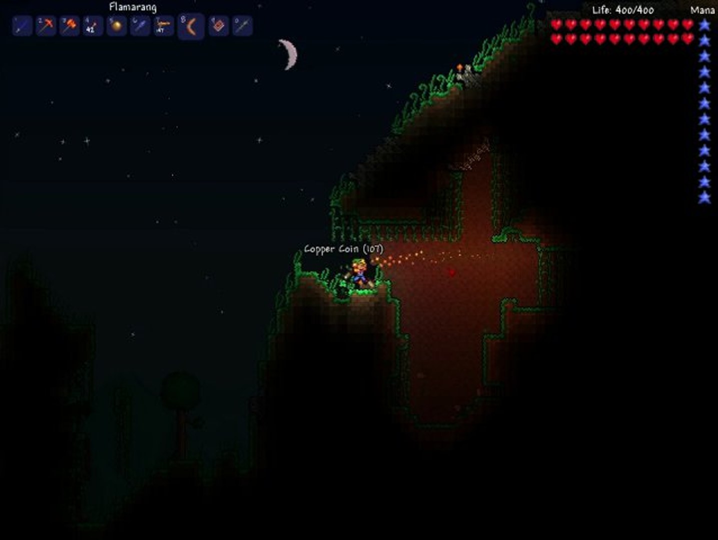 ⁣Bonne Année ^^ (sur Terraria)