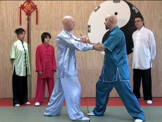 Techniques Tui Shou, pas fixes & mobile