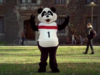 Bachelor's Degree Programs that Don’t Mess Around at AIU