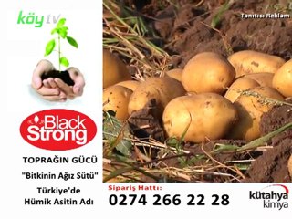 KÜTAHYA KİMYA  (BLACK STRONG) - KÖY TV