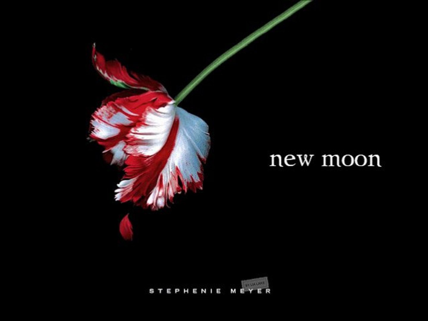 ⁣Twilight New Moon Audiobook Chapter 1 Part 1