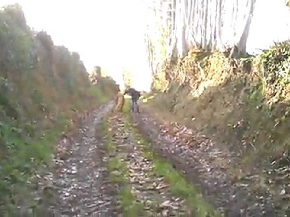Balade avec Nikya (l)