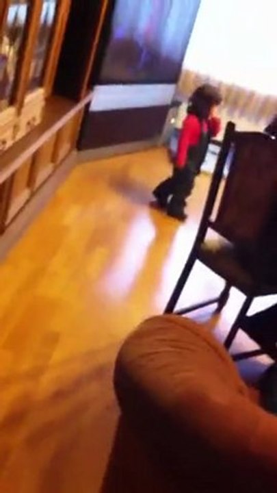 Dogo Argentino Hündin mit 75 kg Deutschland