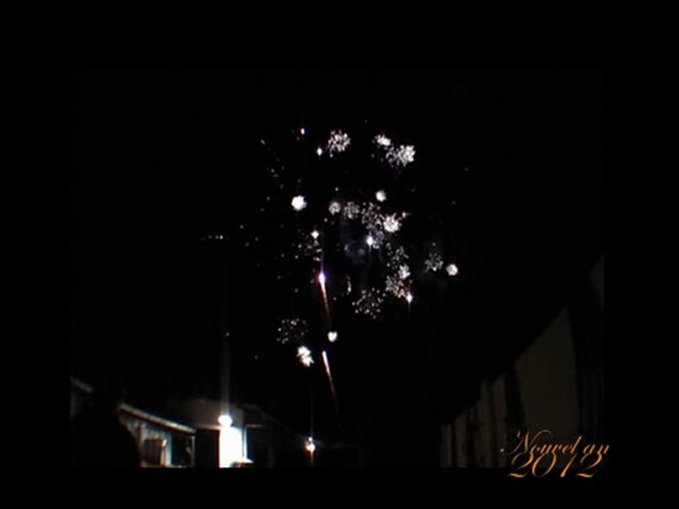 Voeux 2012