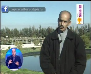 غليزان ✿│ أول مزرعة نموذجية لتربية سمك البلطي النيلي