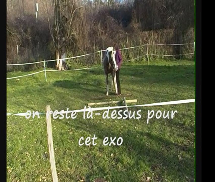 Aloha 26 décembre 2011